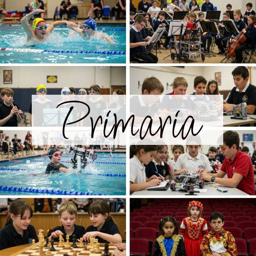 Extraescolar Primaria JOYFE